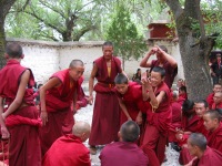 Sera Monastery Debating